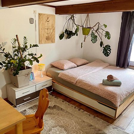 Cozy Room In An Old Farmhouse Near Vaduz Sevelen 外观 照片