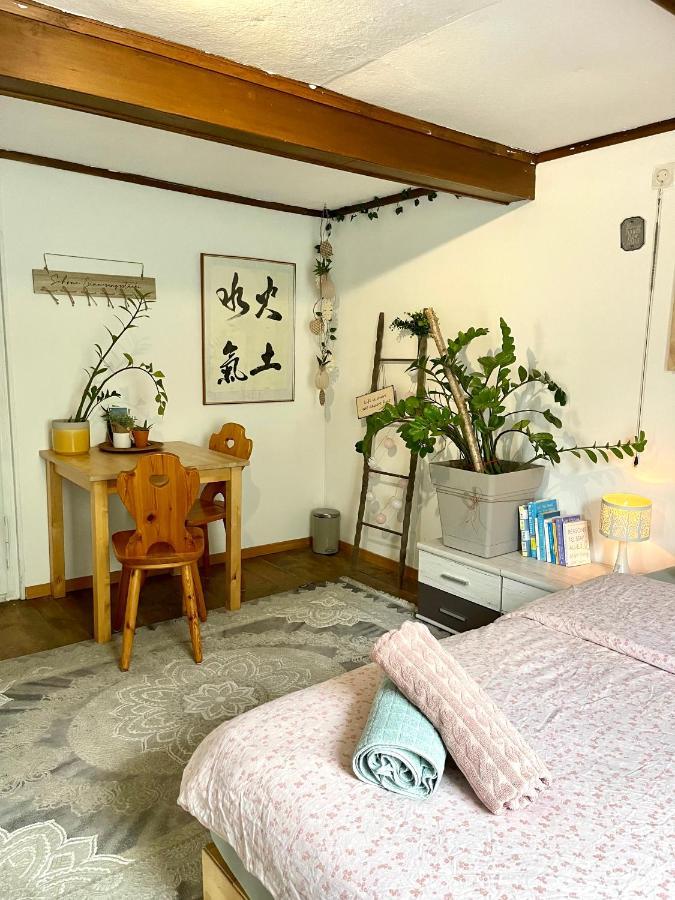 Cozy Room In An Old Farmhouse Near Vaduz Sevelen 外观 照片
