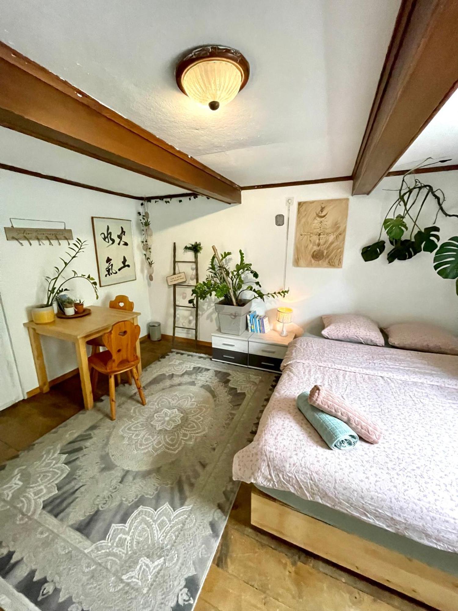 Cozy Room In An Old Farmhouse Near Vaduz Sevelen 外观 照片
